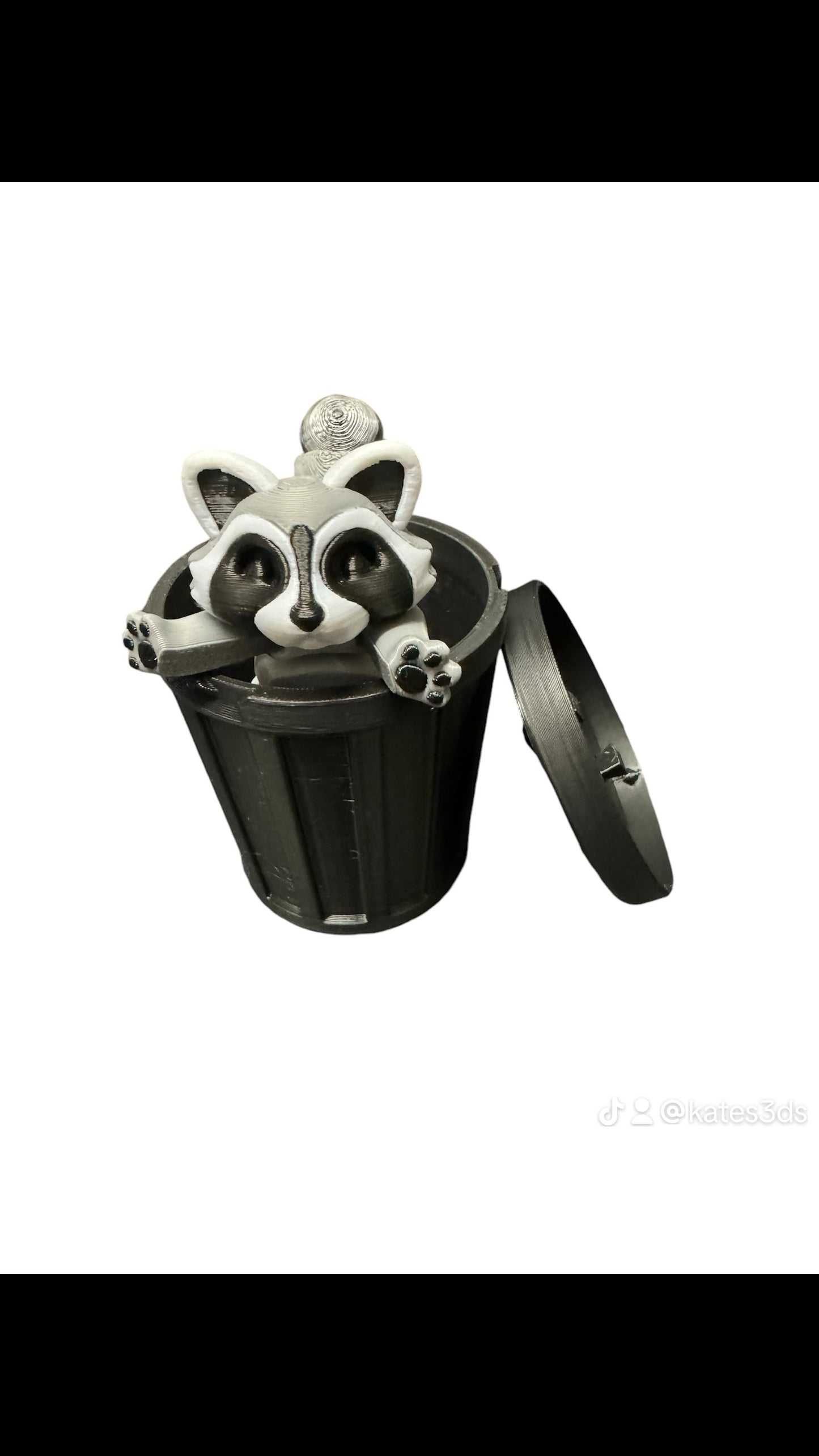Raccoon & Bin Fidget 3D Pla Printed Articulated Toy for Stress Relief, Kids & Adults ADHD - Snazzy Dudds