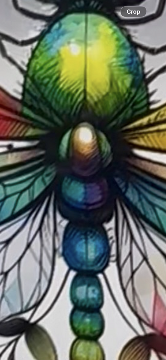 Rainbow Dragonfly "Grow With The Flow" Premium DTF Transfer | Boho Floral Design