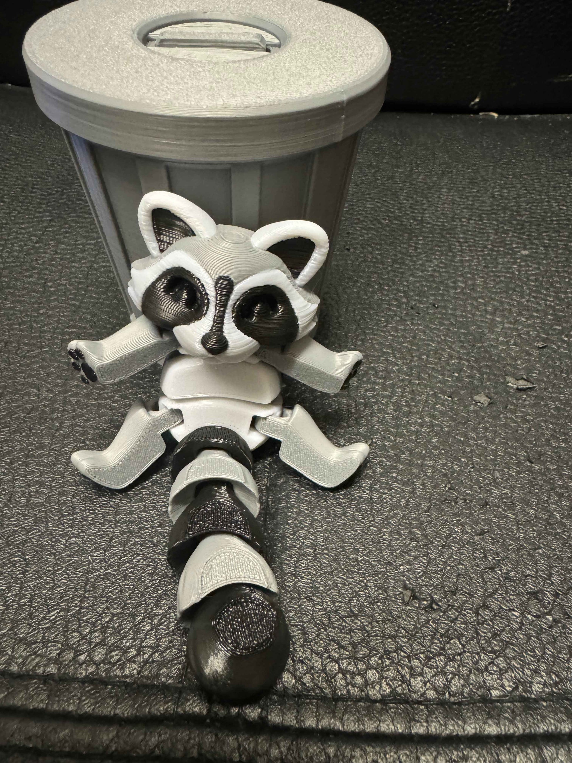 Raccoon & Bin Fidget 3D Pla Printed Articulated Toy for Stress Relief, Kids & Adults ADHD - Snazzy Dudds