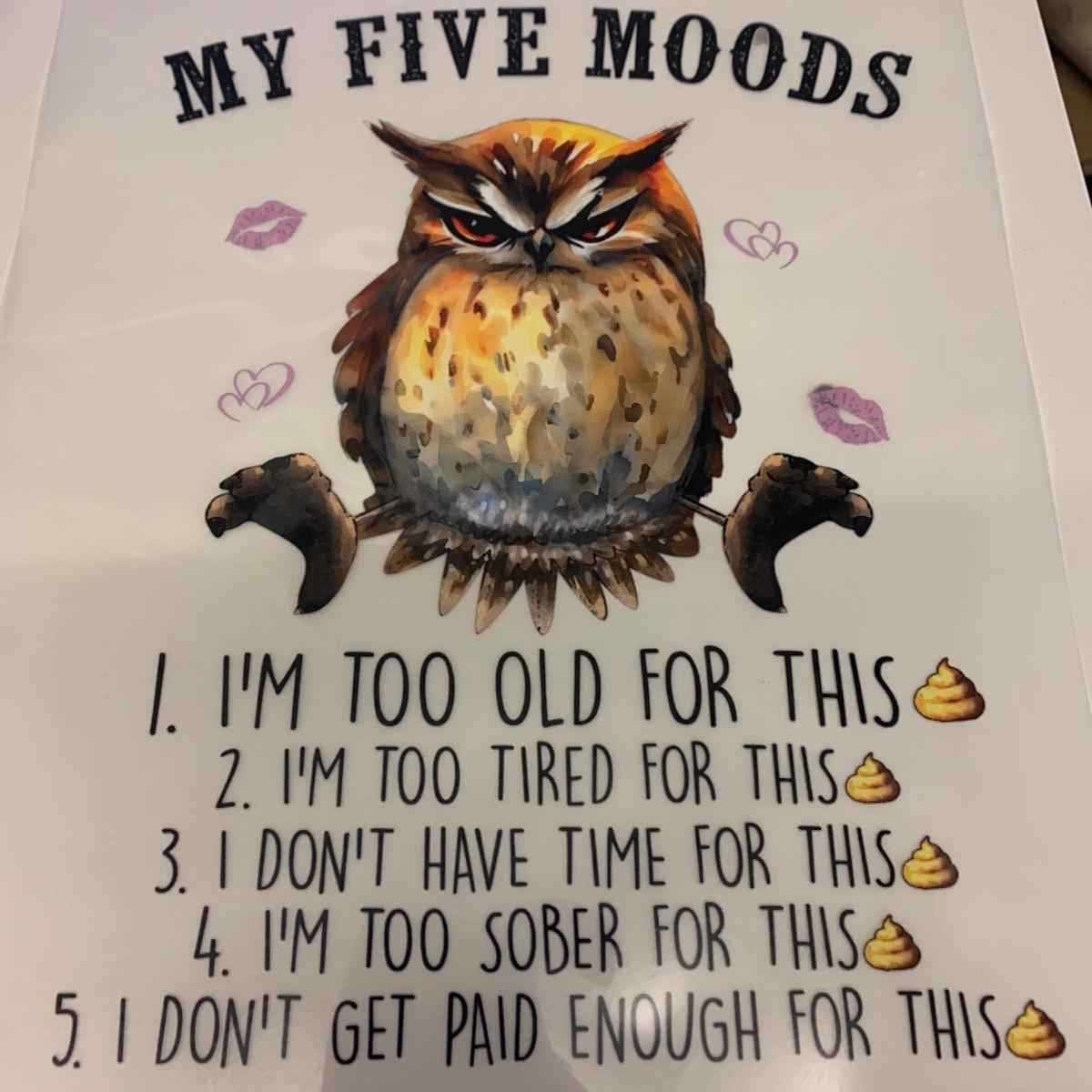 TSHIRT - Funny Joke Sarcastic Owl My Five Moods  Unisex Casual Crew Neck Tshirt 100% Cotton - Snazzy Dudds