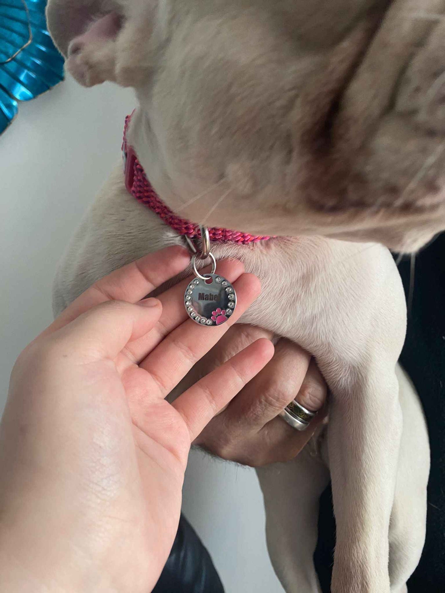 Circle Rhinestone Coloured Paw Dog Puppy, Cat Name ID Engraved Tag - Snazzy Dudds