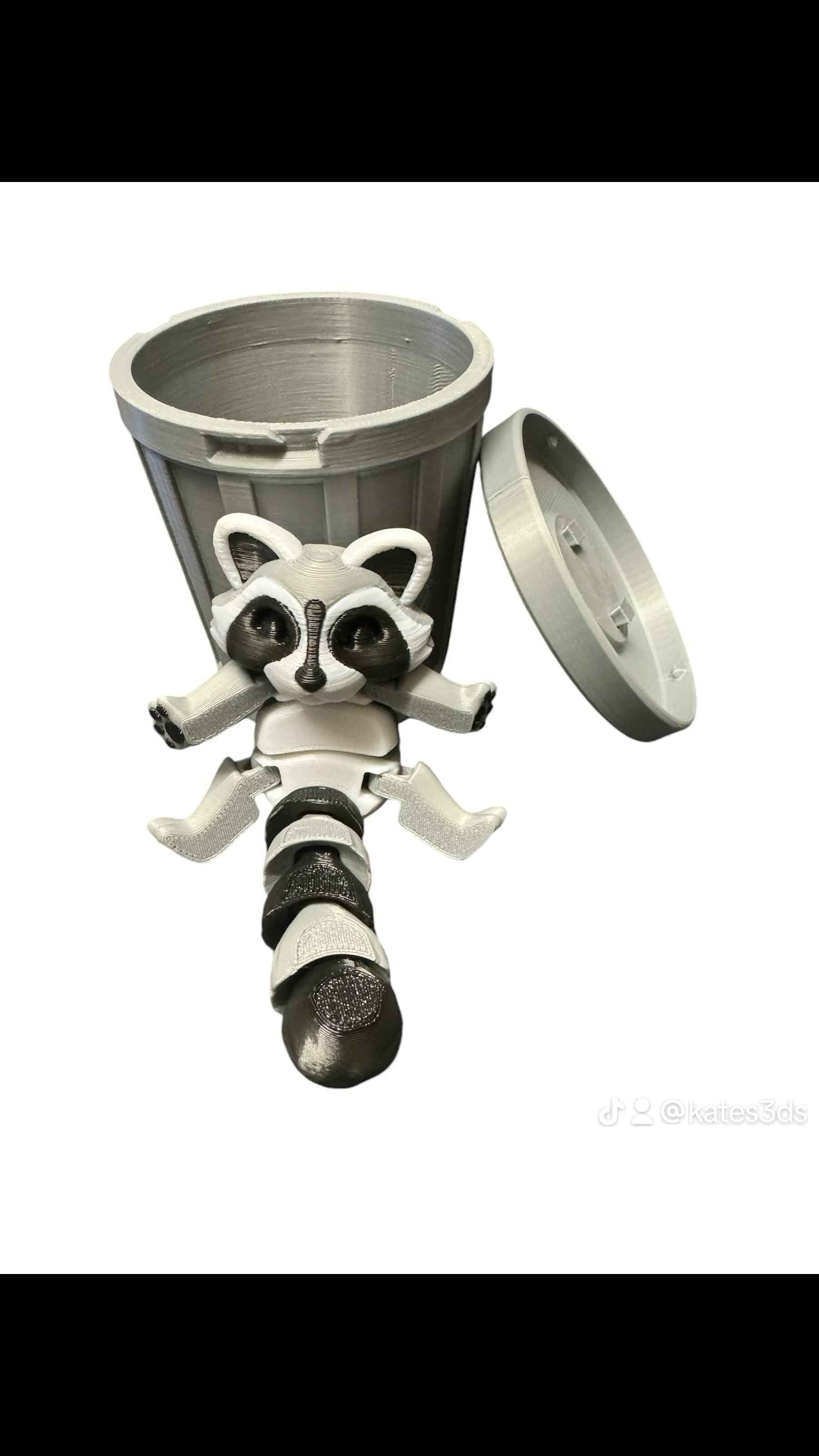 Raccoon & Bin Fidget 3D Pla Printed Articulated Toy for Stress Relief, Kids & Adults ADHD - Snazzy Dudds