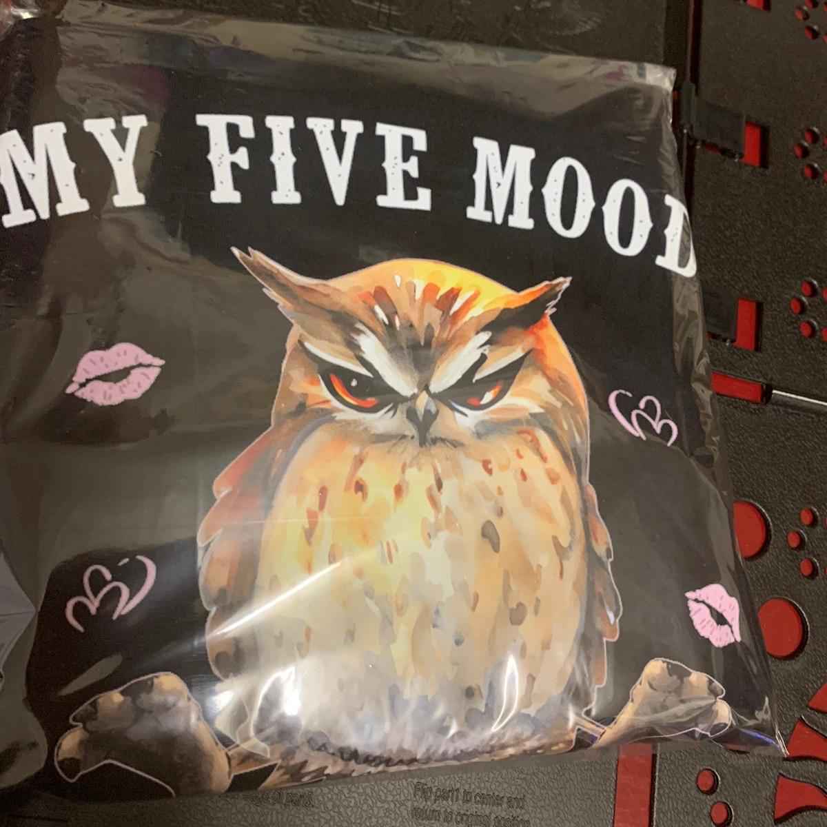 TSHIRT - Funny Joke Sarcastic Owl My Five Moods  Unisex Casual Crew Neck Tshirt 100% Cotton - Snazzy Dudds
